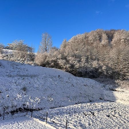 Villa Monte Apartament Z Ogrodem Kudowa-Zdrój Esterno foto